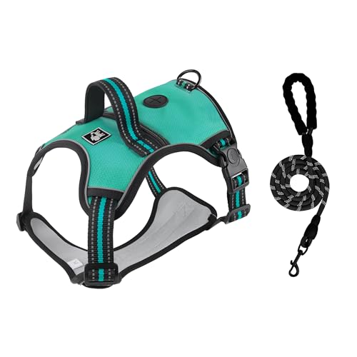 [Snughom]˃n[lX h[h SbNt [|Pbg ̃fUC Px ԈS TCY ^^p U AEghA Sf