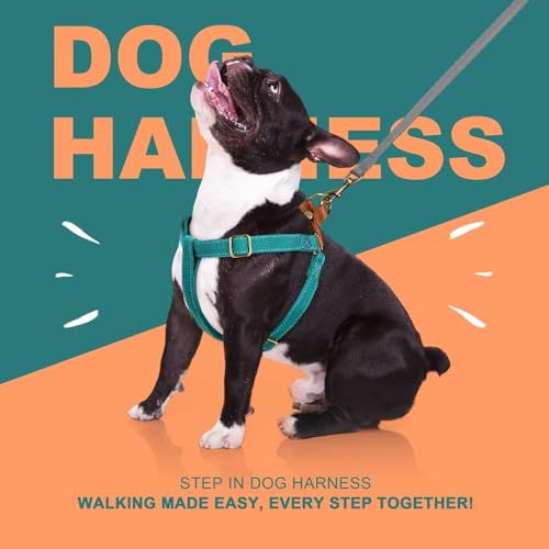 Image of Didog Step in Dog Harnes for Medium Dogs, Blue, M, Chest 19-28 inch