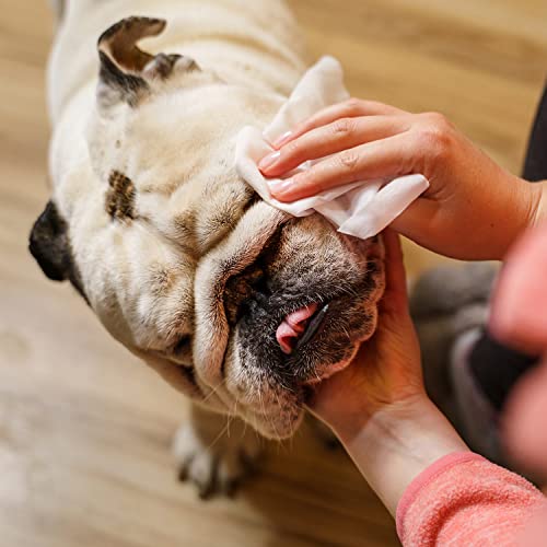 Natural Essentials Pet Eye Wipes For Dogs Cats Puppies & Kittens 100 Soft Plant Based Dog Eye Wipes And Cat Eye Wipes To Safely Clean Pet Eyes, Removes Crust, Dirt & Discharge, 100 Count (Pack Of 1) #TOP2