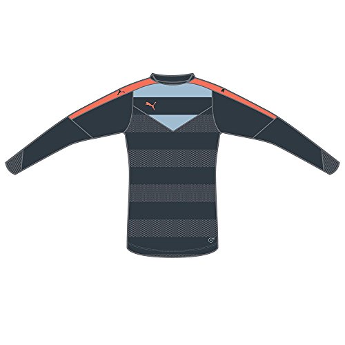 Puma Men's Goalkeeping Jersey Stadium Shirt grey Ebony-Nasturtium Size:Medium