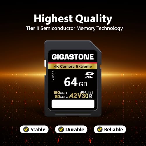 Image of 【5-Years Data Recovery】 GIGASTONE 64GB SD Card 2-Pack, 4K Camera Extreme, Speed Up to 160MB /s, UHS-I A2 V30 U3 SDXC Memory Card High Speed UHD Video Compatible with Digital Camera, with 2 Mini Cases