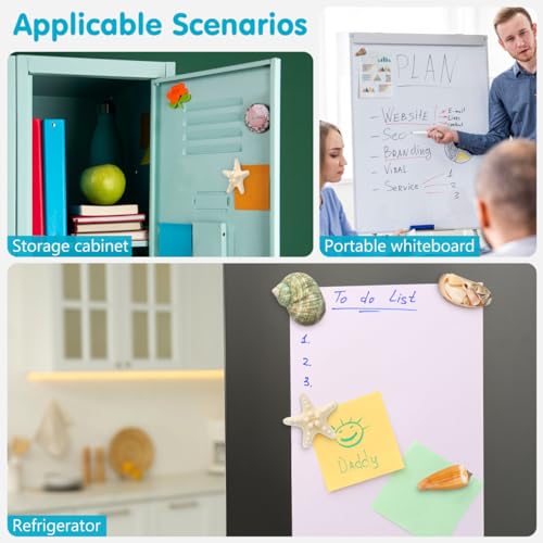Imanes Decorativos Pequeños Forma Concha 7 Pcs miniatura 5