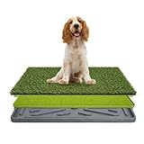 inodoros para perros grandes