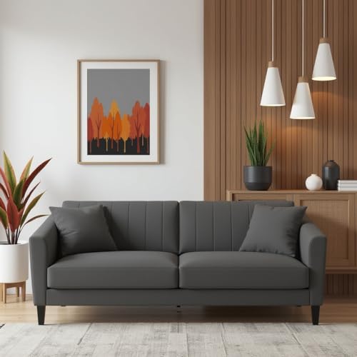 Image of Avion Natalia 3 Seater Velvet Sofa for Living Room|Dark Grey| Luxury Plush Fabric Couch, Modern Comfortable Upholstered Sofa, Premium Home Furniture Lounge Seating
