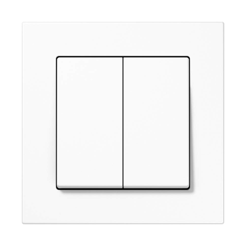 Jung Friends Of Hue Smart Switch FOHSA550595WW: Licht-Schalter und Dimmer - kein Kabel, keine Batterien notwendig – kompatibel mit Philips Hue - Serie A Alpinweiß