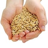 Agrarzone Hafer Pferd gereinigt 20 kg - Österreichischer Hafer für Pferde mit AMA-Gütesiegel - 100% Gentechnikfreier Futterhafer Pferdefutter