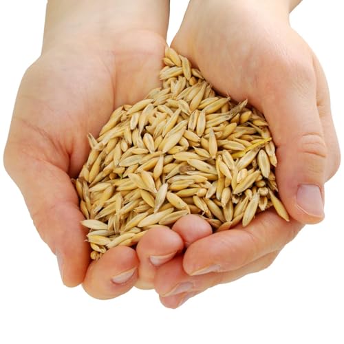 Agrarzone Hafer Pferd gereinigt 20 kg - Österreichischer Hafer für Pferde mit AMA-Gütesiegel - 100% Gentechnikfreier Futterhafer Pferdefutter