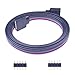10m Cable Extensión Tira LED 5 pines Cable de Conexión Cinta de luz LED 5 Pin Línea Conector Banda LED Extension Cable Connector para SMD 5050 RGBW LED Strip Luces de 10mm y 12mm de Ancho (Blanco)