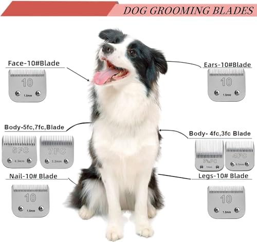 VALLNEI Lâminas de cerâmica removíveis tamanho 40/10 para cães de estimação compatíveis com Oster A5