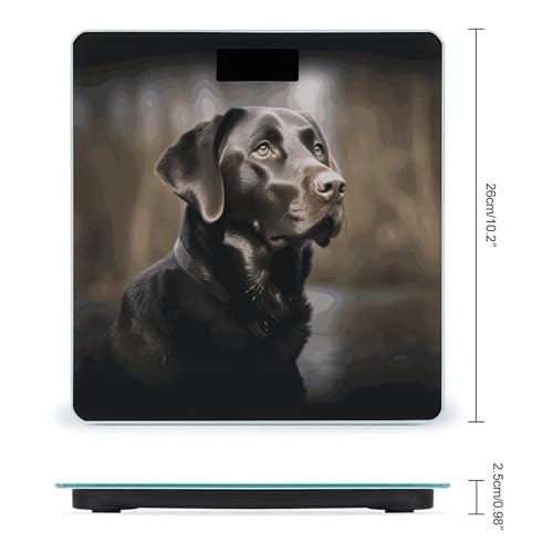 Báscula Digital Labrador Retriever de Vidrio Templado miniatura 2