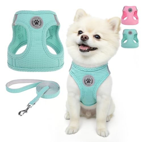 BEAUTYZOO Waffle Dog Harness Small Sized,Soft Air Mesh Step-in Puppy Vest