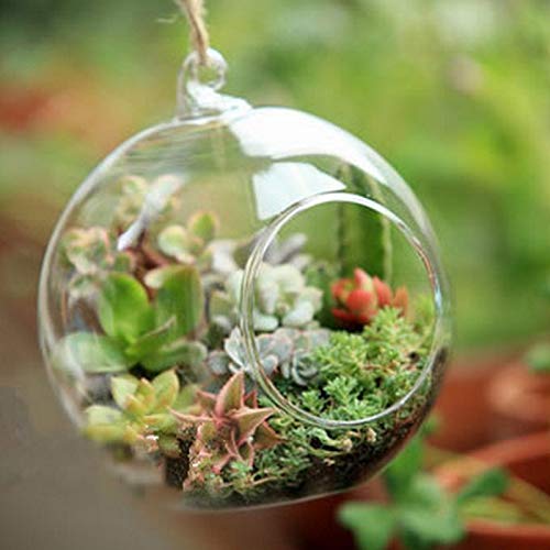 Amazon.co.jp: 花のための花瓶装飾ボール球体形状クリア透明ぶら下げ