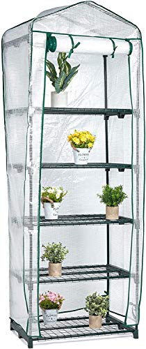Bramble - Premium Garten Foliengewächshaus für Balkon & Terrasse mit