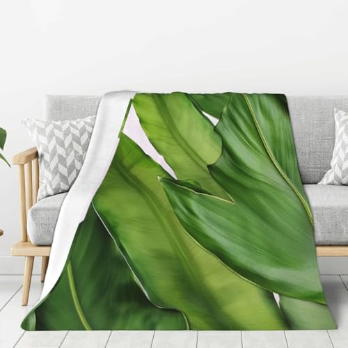 Couverture en flanelle légère contre les frissons sur le lit - 2