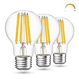 Hcnew A60 A19 E27 Dimmbar LED Leuchtmittel,Glühbirne LED Edison 12W Glühbirne,1521lm High Lumen hellste LED Lampen,Warmweiss 2700K,Ersatz 100W Halogen,3 stücke
