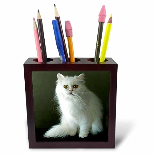 3dRose LLC White Persian 5-Inch Tile Pen Holder