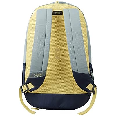 Skybags Campus Grey Logo Print College Laptop Backpack 30L, Grey, 15, Laptop Bags & Cases