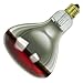 250 Watt Red Coated Infrared Heat Lamp Light Bulb