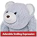 GUND Original Snuffles Teddy Bear, Premium Stuffed Animal for Ages 1 and Up, Ice Blue, 13”