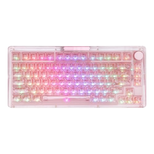 KiiBoom Phantom 81 75%�������J�j�J���Q�[�~���O�L�[�{�[�h �z�b�g�X���b�v�\�ȃJ�X�^���K�X�P�b�g�L�[�{�[�h RGB�o�b�N���C�g�t�� �N���A�L�[�L���b�v �[�d���o�b�e���[ Win/Mac�p�g���v�����[�h (Phantom 81 V3�s��