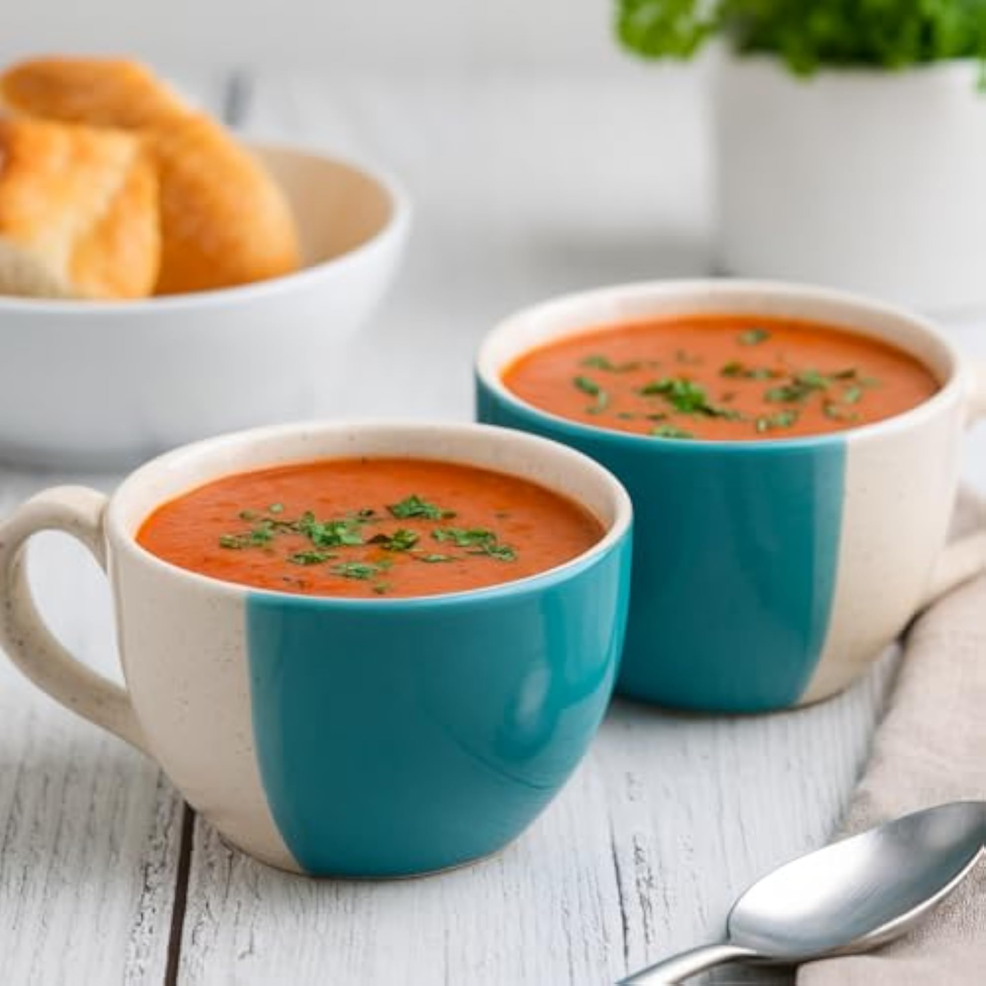 2 Pc Handmade Ceramic Soup Cup with Handle