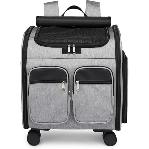 LAJOKINGLbNLL[P[XybgL[ybgL[bNzC[t^ybg܂肽݉\O\ȃ}bgȒPɂłKʋCs (O[,41*30*43)