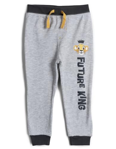 Disney Mickey Mouse Lion King 2 Pack Pants Newborn to Little Kid4