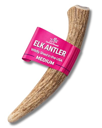 Onward Hound Medium Whole Elk Antlers