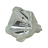 Modello della Lampada: ColorSun POA-LMP21 Lampada Proiettore con Eik i LC-NB2U / LC-NB2UW / LC-NB2W / LC-XNB2U / LC-XNB2UW / LC-XNB2W Videoproiettore Lampadina