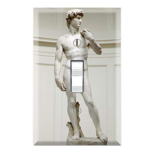 Michelangelo’s David Light Switch