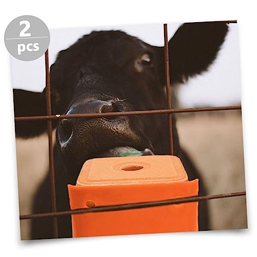 Beavorty 2Pcs Bandeja De Alimentação Ou Terrário