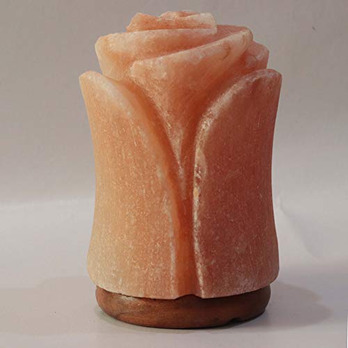 Spantik Beautiful Flower Shape Himalayan Salt Lamp | Authentic And Hand Carved Himalayan Salt | Sourced From Pakistan #TOP3