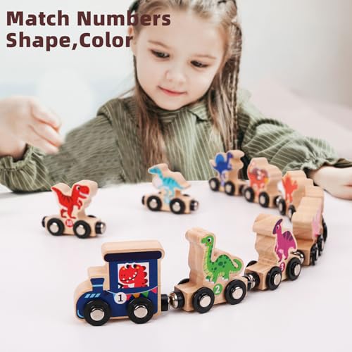 YESTEP Magnetic Wooden Dinosaur Train Set, 11 Piece Montessori Toys for Toddlers, Preschool Educational Material for Kids, Birthday Gifts for Boys and Girls - Image 4