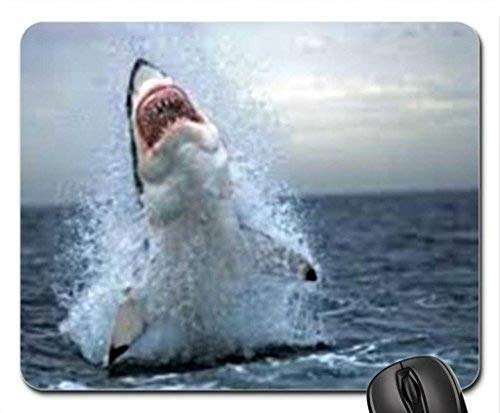 YENDOSTEEN Cojín de ratón temático del Juego de los Pescados, cojín de ratón del tiburón, Mousepad