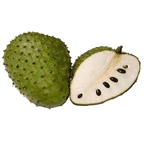 Wanyudz 10/20/25 Seeds/Pack Soursop Seeds Delicious Giant Fruits for Home Garden