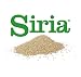 Siria 20 Litros~8,6 Kg (SET 2 bolsas de 10 Litros~4,3 Kg) Arena...