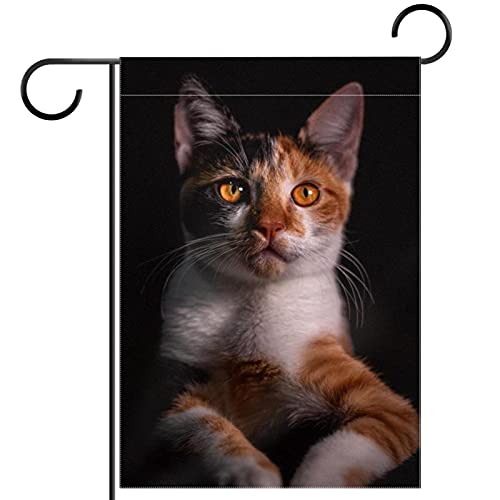 Drapeau de jardin British Shorthair, cadeau idéal extérieur pour passionné