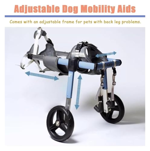 Aide à la mobilité pour chien paralysé : solution fauteuil roulant réglable