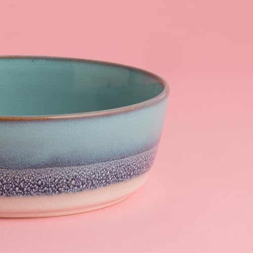 Mason Cash: Reactive Fade Pet Bowl - 7.9", 44oz - Multi Glaze, Dog Food-Water Dish, Ceramic Stoneware, Microwave-Dishwasher Safe, Feeding-Hydration by Mason Cash - Used condition - Image 5