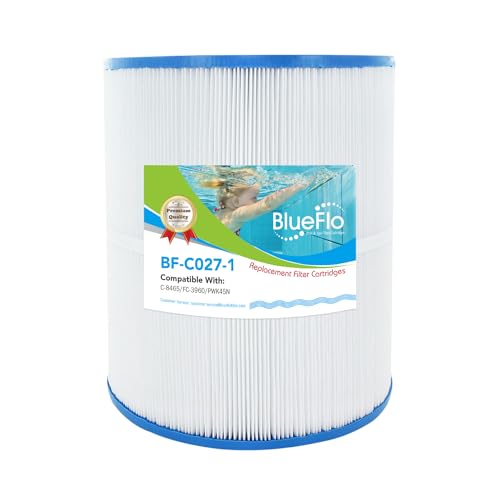 BLUEFLO Spa Filter Cartridge Replacement for Unicel C-8465, Watkins 31114 Hot Tub Filter, Filbur FC-3960, PWK65, PWK45N, 71827, 10-1/2