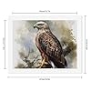 QMNBTES Paint by Numbers Kit for Adults Beginner Hawk Sitting in The Tree Paint by Number Kits on Canvas Number Painting Drawing Paintwork DIY Oil Painting Kits for Gift Home Wall Decor #1