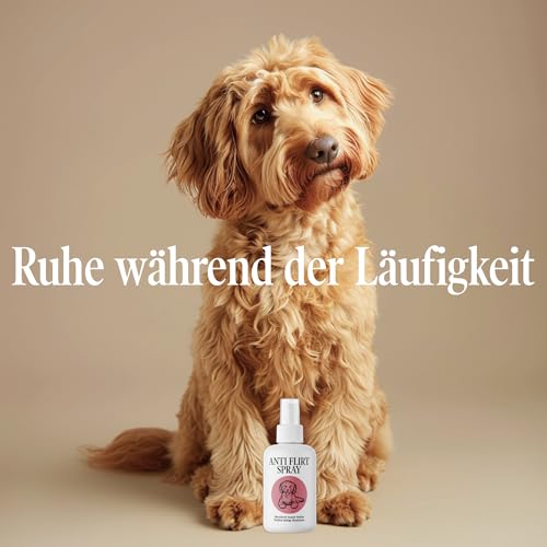Sensipharm Anti Flirt Spray für Hunde – maskiert Läufigkeitsgeruch bei Hündinnen, reduziert unerwünschte Aufmerksamkeit von Rüden – natürliche Duftformel, 100 ml