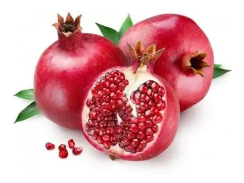 Muda De Romã Americana Gigante Exótica E Para Produzir