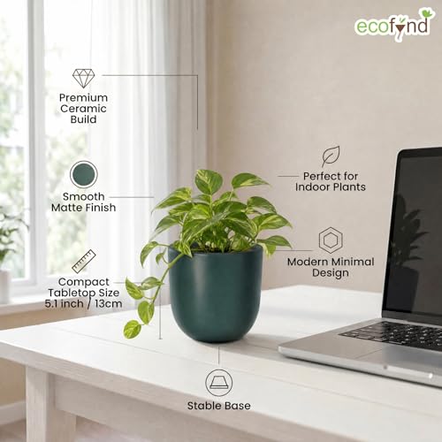 Image of ecofynd 5 Inch Ceramic Plant Pots with Drainage Hole, Modern Decorative Clay Flower Pots for Indoor Plants, Home Garden Decor for Living Room, Bedroom & Interior Spaces (CPOT041-DGN)