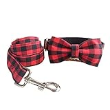 N / A Collier Ajustable pour Animaux de Compagnie de Style Créatif et Laisse Ferme pour Animaux de Compagnie pour Chiot, Chien et Chat (Style#3, S)