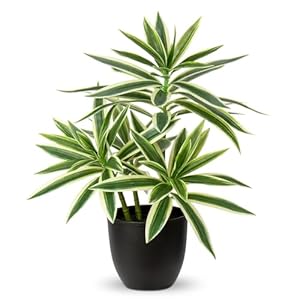 Oairse 41cm Fake Plants in Black Pots Artificial Dracaena Plant Decorative Fake Potted Plants Realistic Faux Indoor Plant For Home Bathroom Living Room Kitchen Shelf Table Decoration