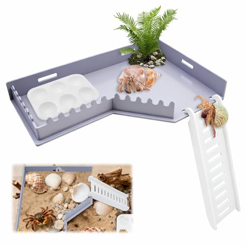 KCMOSGI Hermit Crab Accessories - Hermit Crab Platform with Ladder and Food Dish, Hermit Crab Climbing Toys, Habitat Tank Accessories for Hermit, Geckos, Small Lizards