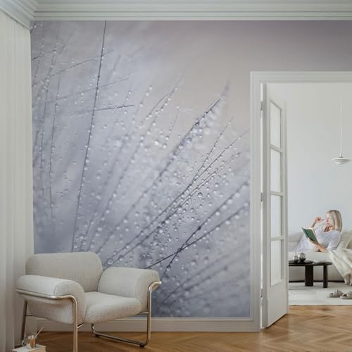 Papier peint pissenlit 250x250 pour masquer les murs ternes - 4