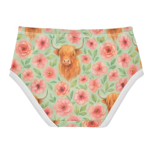 Joisal Cotton Toddler Girls Underwear Cute Highland Cows Pink Flowers Girl Panties Cute Funny Kids Undies Briefs 2t2