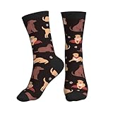 Material de alta calidad: la tela de los calcetines para hombres y mujeres es suave y transpirable, los tejidos de poliéster y los tejidos de elastano tienen las características de gran elasticidad y no se deforman fácilmente. Nuestros calcetines deportivos Chocolate Labrador Retriever Dog no son tela adicional en las articulaciones de los dedos, cómodos de llevar